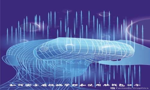 如何安全有效地管理和使用脑钱包口令