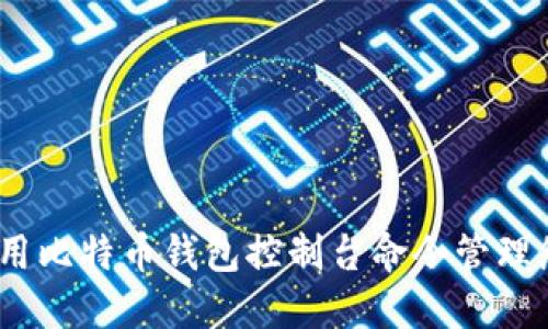 完整指南：使用比特币钱包控制台命令管理您的数字资产