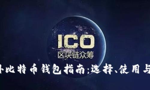2023年国外比特币钱包指南：选择、使用与安全性分析