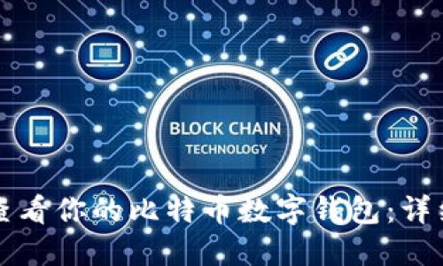 如何查看你的比特币数字钱包：详细指南