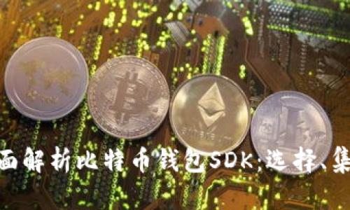 riaoti全面解析比特币钱包SDK：选择、集成与应用