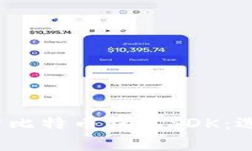 riaoti全面解析比特币钱包SDK：选择、集成与应用