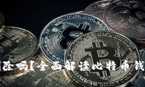 比特币钱包可以删除吗？全面解读比特币钱包的管理与安全性