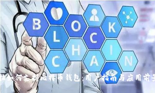 特斯拉如何支持比特币钱包：用户指南与应用前景解析