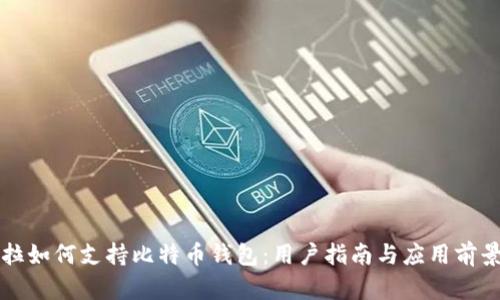 特斯拉如何支持比特币钱包：用户指南与应用前景解析