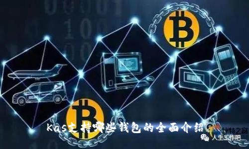 Kas支持哪些钱包的全面介绍
