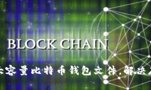 如何有效管理大容量比特币钱包文件，解决存储和性能问题