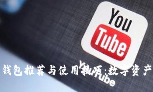 : iPad比特币钱包推荐与使用技巧：数字资产安全管理指南