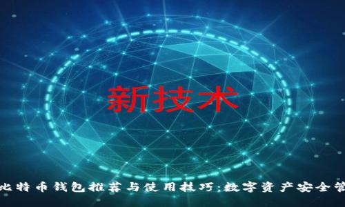 : iPad比特币钱包推荐与使用技巧：数字资产安全管理指南