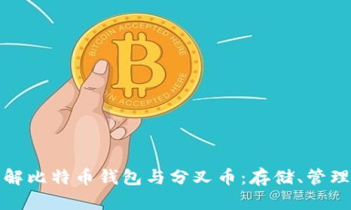 深入了解比特币钱包与分叉币：存储、管理与风险