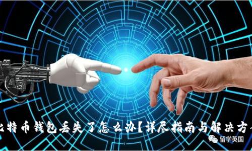 比特币钱包丢失了怎么办？详尽指南与解决方案