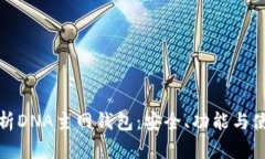 全面解析DNA主网钱包：安全、功能与使用技巧