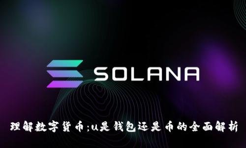 理解数字货币：u是钱包还是币的全面解析