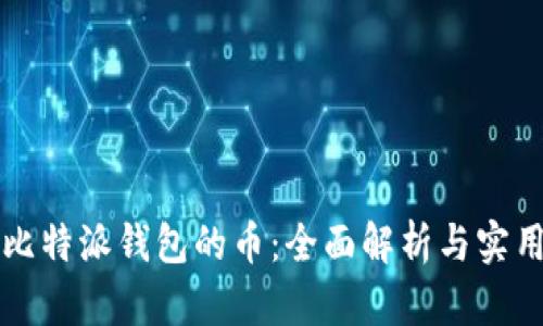 支出比特派钱包的币：全面解析与实用指南