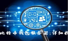 如何成功部署比特币钱包服务器：详细指南与最