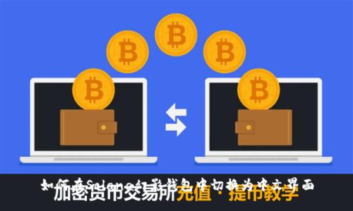 如何在Solana幻影钱包中切换为中文界面