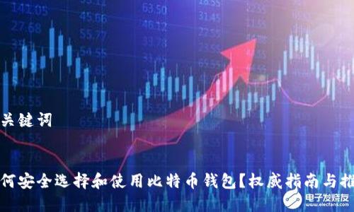和关键词


如何安全选择和使用比特币钱包？权威指南与推荐