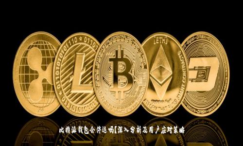 比特派钱包会停运吗？深入分析及用户应对策略