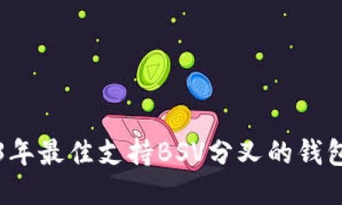 2023年最佳支持BSV分叉的钱包推荐