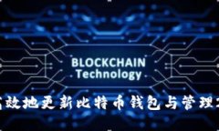 如何安全高效地更新比特币钱包与管理200GB数据