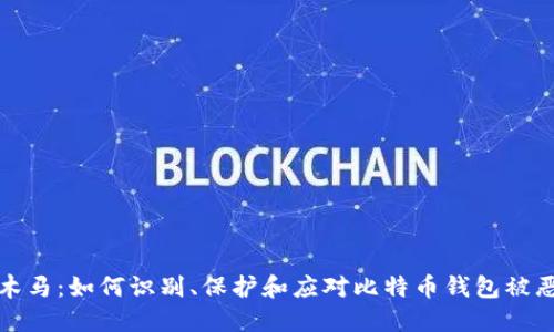 比特币钱包木马：如何识别、保护和应对比特币钱包被恶意软件攻击