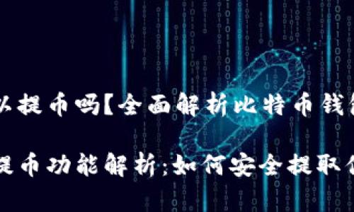 比特币钱包可以提币吗？全面解析比特币钱包的功能与使用

比特币钱包的提币功能解析：如何安全提取你的比特币