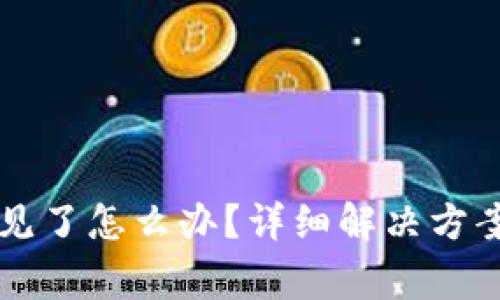 比特派钱包币不见了怎么办？详细解决方案与常见问题解析
