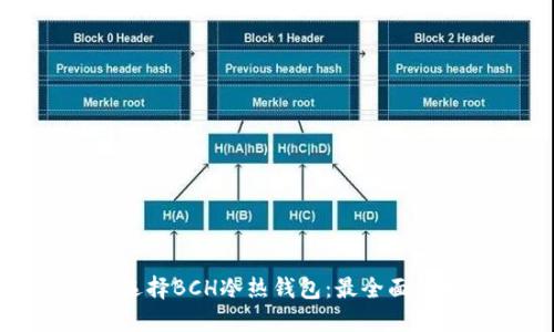 如何选择BCH冷热钱包：最全面的指南