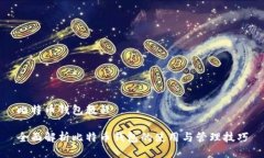 比特币钱包教程全面解析比特币钱包的使用与管