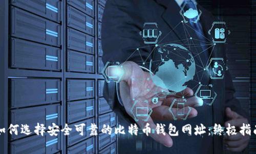 如何选择安全可靠的比特币钱包网址：终极指南