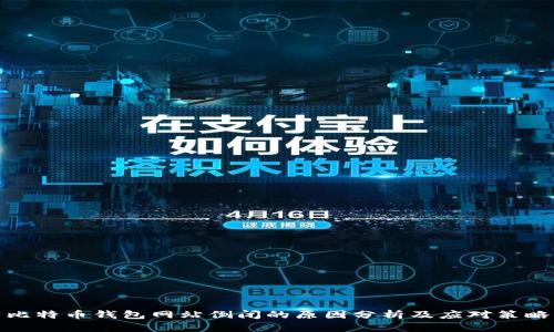 比特币钱包网站倒闭的原因分析及应对策略