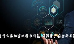 为什么要加密比特币钱包：保障资产安全的关键