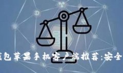 最佳比特币钱包苹果手机客户端推荐：安全、易