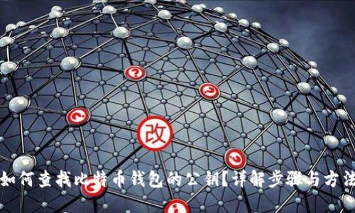 如何查找比特币钱包的公钥？详解步骤与方法