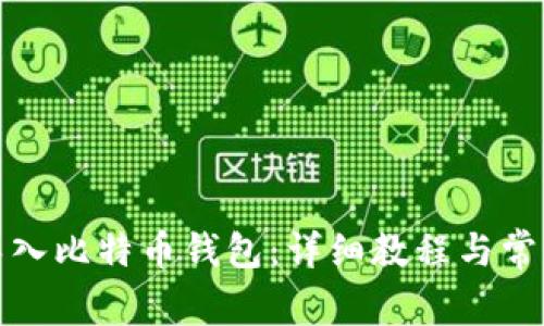 如何轻松导入比特币钱包：详细教程与常见问题解答