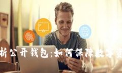 全面解析公开钱包：如何保障数字资产安全