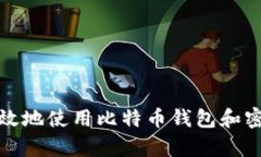 如何安全高效地使用比特币钱包和密码恢复技巧