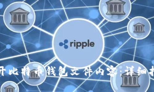如何安全地打开比特币钱包文件内容：详细指南与实用技巧