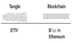 如何高效使用比特币多功能钱包：终极指南