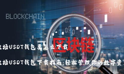波场USDT钱包要怎么下载

波场USDT钱包下载指南：轻松管理你的数字资产