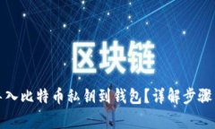 如何安全导入比特币私钥到钱包？详解步骤与注