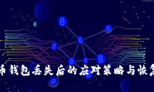 比特币钱包丢失后的应对策略与恢复方法