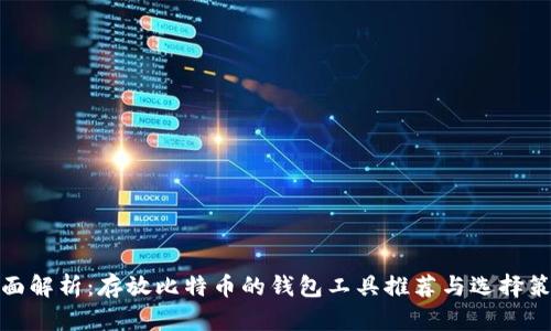全面解析：存放比特币的钱包工具推荐与选择策略