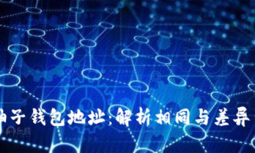 以太坊与柚子钱包地址：解析相同与差异背后的真相