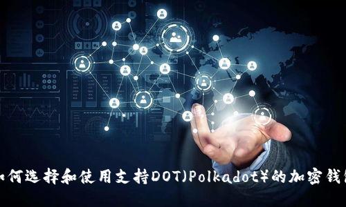如何选择和使用支持DOT（Polkadot）的加密钱包
