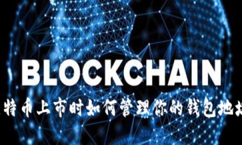 比特币上市时如何管理你的钱包地址？