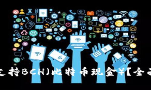 哪些钱包支持BCH（比特币现金）？全面解析推荐