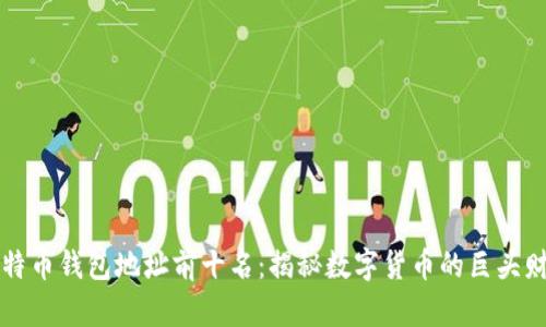 比特币钱包地址前十名：揭秘数字货币的巨头财富