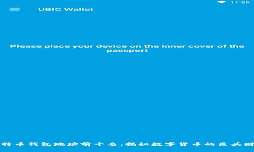 比特币钱包地址前十名：揭秘数字货币的巨头财富