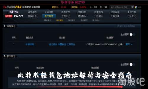 比特股轻钱包地址解析与安全指南